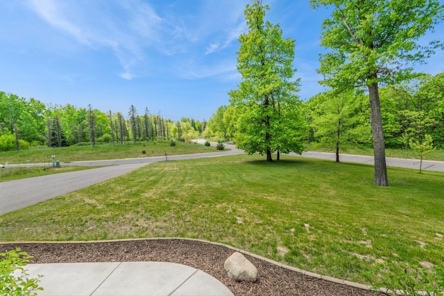 13284 288th Ave NW, Zimmerman, MN 55398 - photo 39