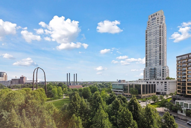 215 10th Ave S Unit 606, Minneapolis, MN 55415 - view of city