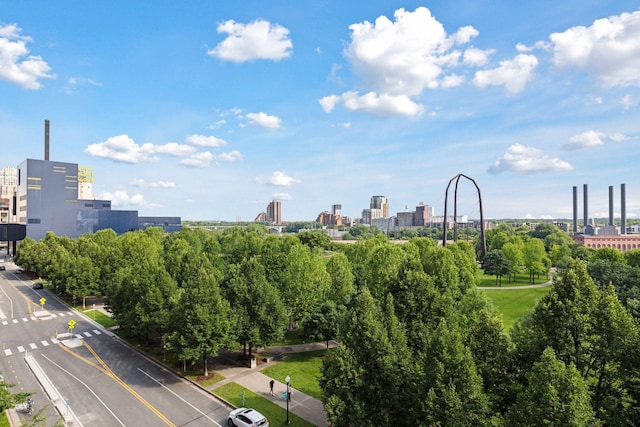 215 10th Ave S Unit 606, Minneapolis, MN 55415 - view of city skyline with a tree filled landscape