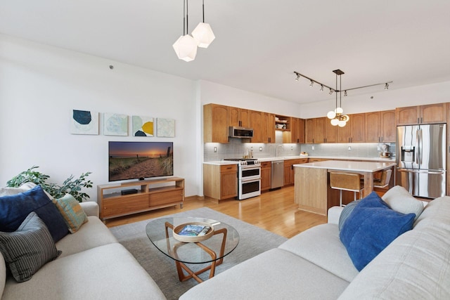 215 10th Ave S Unit 606, Minneapolis, MN 55415 - living area featuring light wood finished floors, a skylight, and track lighting