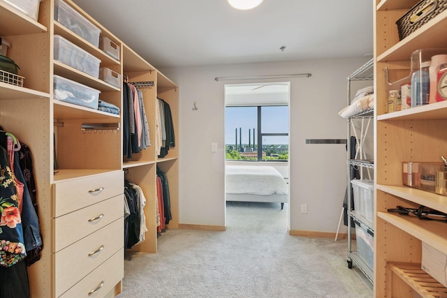 215 10th Ave S Unit 606, Minneapolis, MN 55415 - walk in closet with carpet flooring