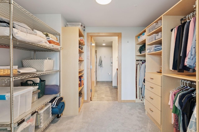 215 10th Ave S Unit 606, Minneapolis, MN 55415 - spacious closet featuring light carpet