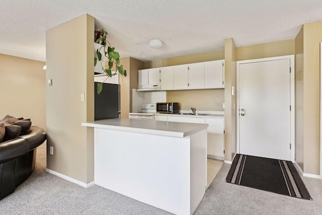 4130 Rahn Rd Unit 209, Eagan, MN 55122 - kitchen featuring under cabinet range hood, light carpet, a sink, a peninsula, and a textured ceiling