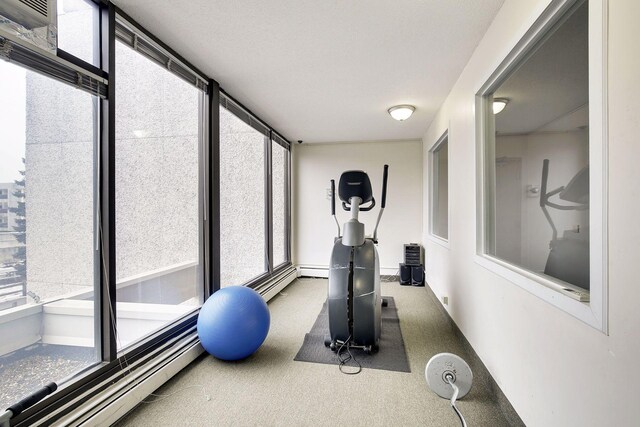 4130 Rahn Rd Unit 209, Eagan, MN 55122 - exercise area featuring healthy amount of natural light, carpet floors, and baseboards