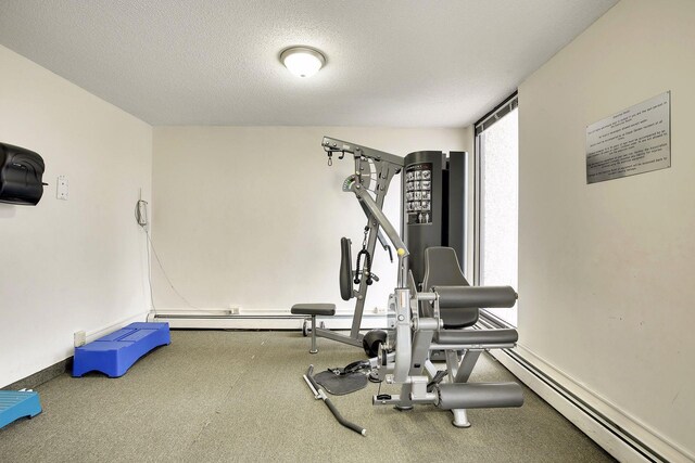 4130 Rahn Rd Unit 209, Eagan, MN 55122 - exercise room with carpet floors, a textured ceiling, and baseboards