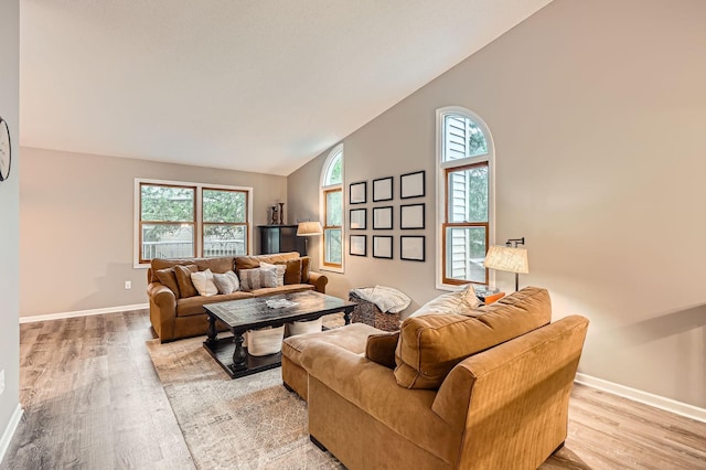 4271 Boulder Ridge Pt, Eagan, MN 55122 - living area featuring light wood-style floors, baseboards, plenty of natural light, and high vaulted ceiling