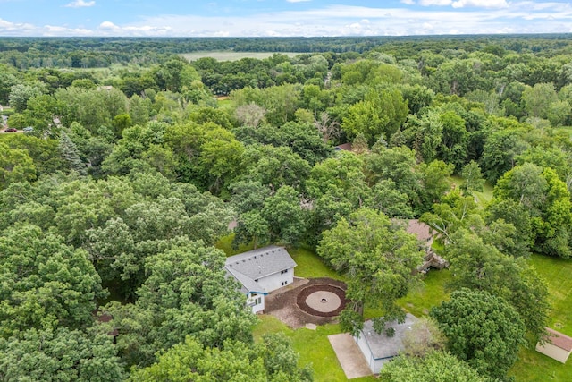 16724 Kenyon Cir NE, Ham Lake, MN 55304 - bird's eye view of a forest