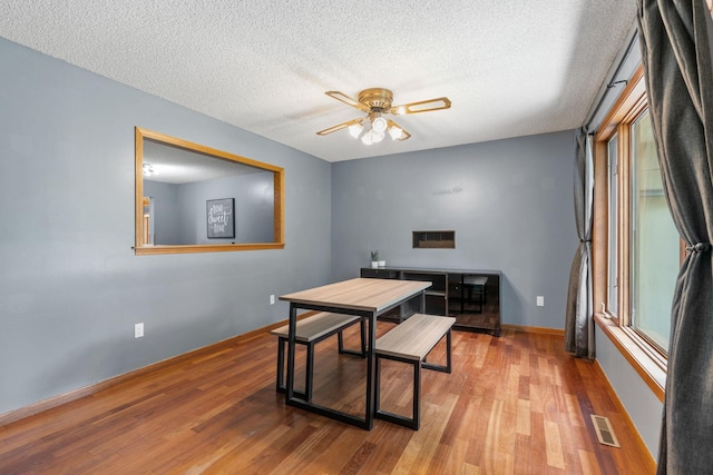 16724 Kenyon Cir NE, Ham Lake, MN 55304 - home office with ceiling fan, wood finished floors, and a textured ceiling