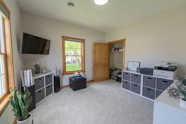 56814 402nd Ave, Mazeppa, MN 55956 - photo 26