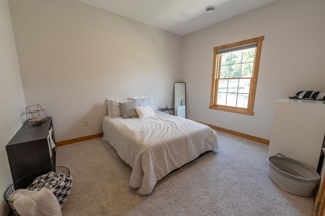 56814 402nd Ave, Mazeppa, MN 55956 - photo 32