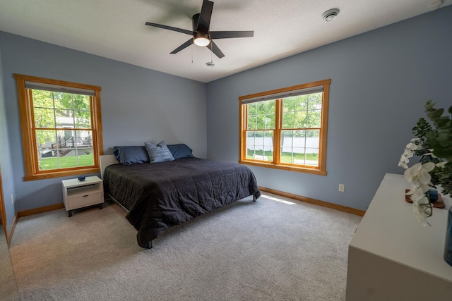 56814 402nd Ave, Mazeppa, MN 55956 - photo 43