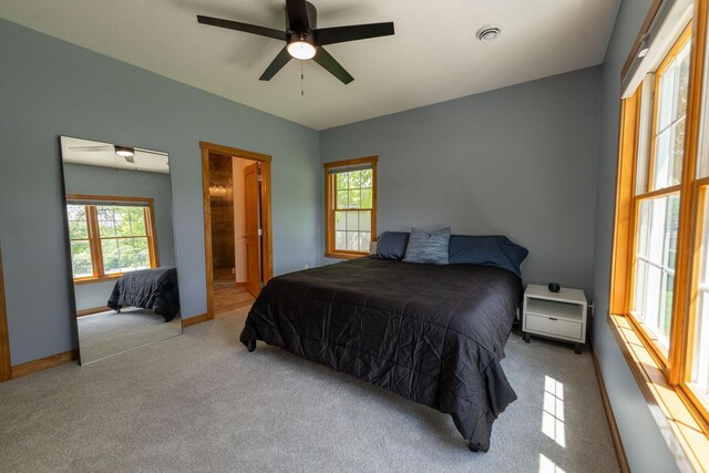 56814 402nd Ave, Mazeppa, MN 55956 - photo 44