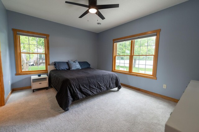56814 402nd Ave, Mazeppa, MN 55956 - photo 95