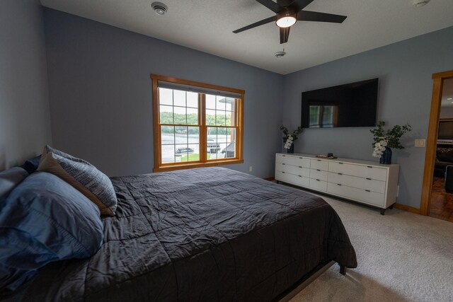 56814 402nd Ave, Mazeppa, MN 55956 - photo 96