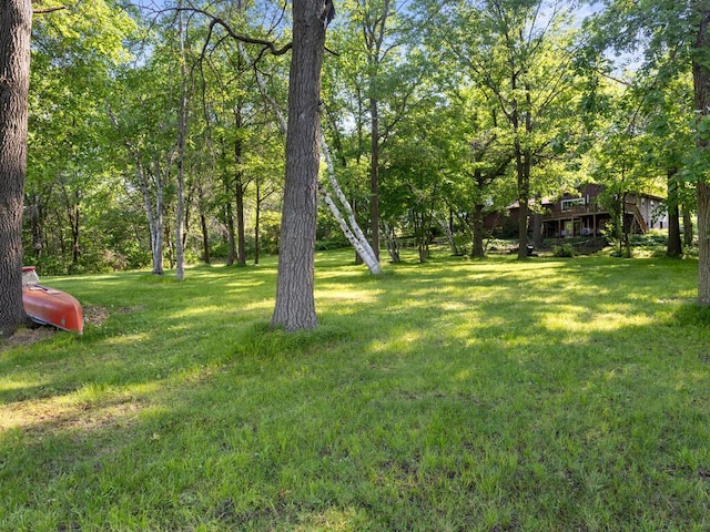 24810 96th St NW, Zimmerman, MN 55398 - view of green lawn