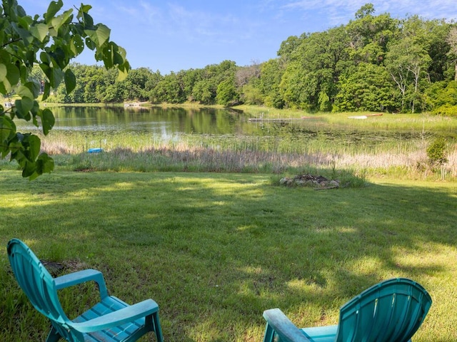 24810 96th St NW, Zimmerman, MN 55398 - view of green lawn featuring a water view and a forest view