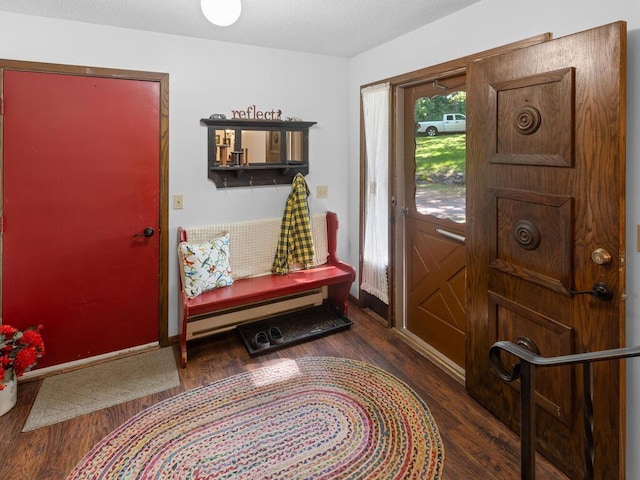 24810 96th St NW, Zimmerman, MN 55398 - foyer with wood finished floors and a baseboard heating unit