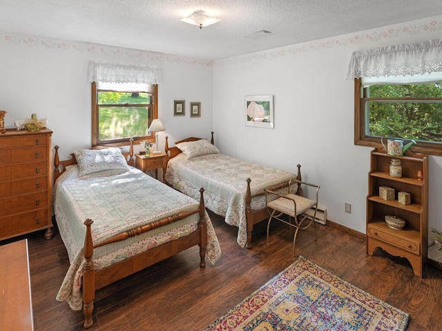 24810 96th St NW, Zimmerman, MN 55398 - bedroom with multiple windows, wood finished floors, a baseboard radiator, and a textured ceiling