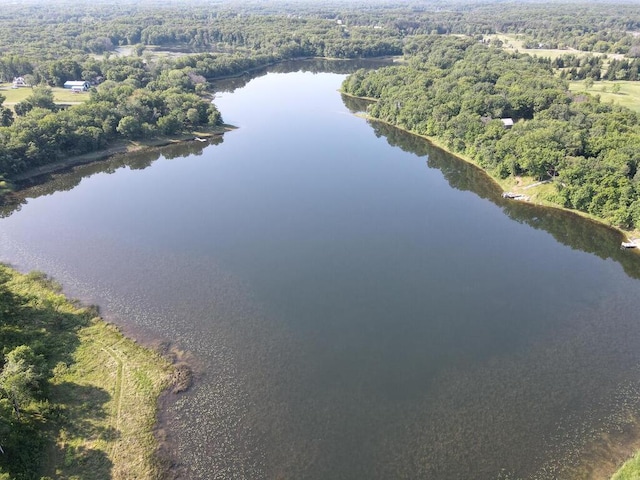 24810 96th St NW, Zimmerman, MN 55398 - drone / aerial view of a forest and a large body of water