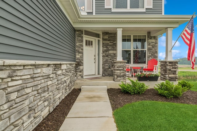 19281 Blue Stem Ct, Maple Grove, MN 55311 - entrance to property with covered porch and stone siding