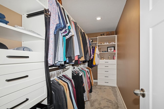 19281 Blue Stem Ct, Maple Grove, MN 55311 - walk in closet featuring light carpet