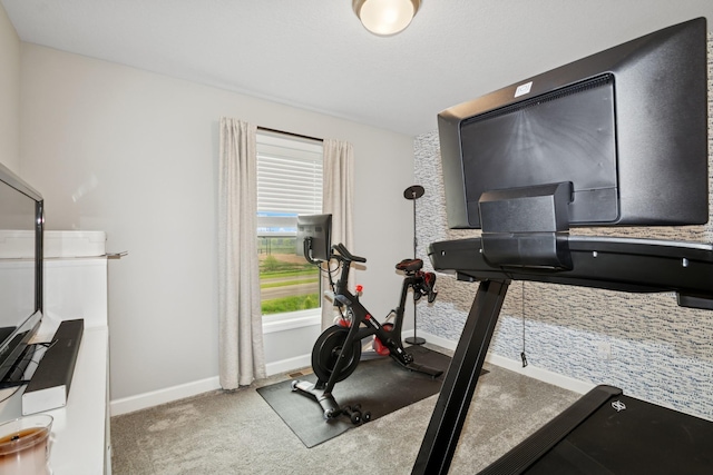 19281 Blue Stem Ct, Maple Grove, MN 55311 - workout area with baseboards and carpet floors