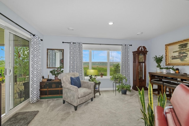 19281 Blue Stem Ct, Maple Grove, MN 55311 - sitting room with carpet and baseboards