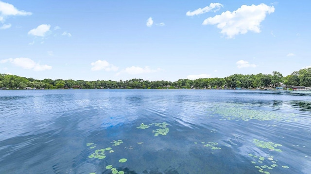 27862 Hidden Cove Rd, Cold Spring, MN 56320 - photo 3