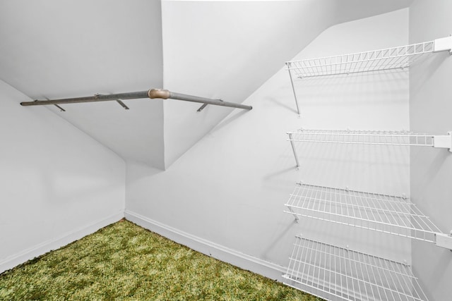 1027 Van Slyke Ave, Saint Paul, MN 55103 - spacious closet with lofted ceiling and carpet flooring