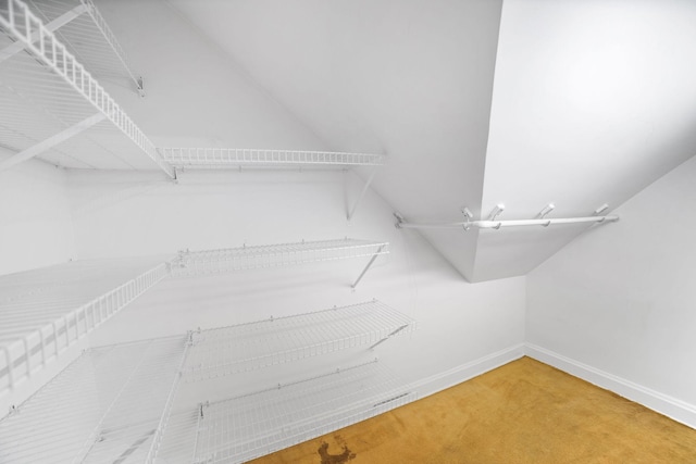 1027 Van Slyke Ave, Saint Paul, MN 55103 - spacious closet with carpet floors and vaulted ceiling