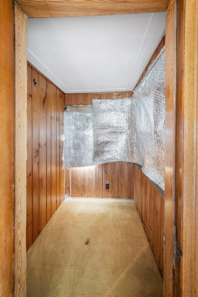 1027 Van Slyke Ave, Saint Paul, MN 55103 - carpeted spare room featuring wood walls