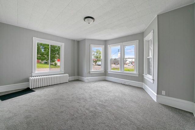 1319 Hennepin Ave N, Glencoe, MN 55336 - photo 5
