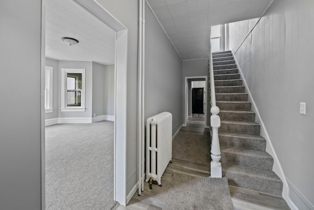 1319 Hennepin Ave N, Glencoe, MN 55336 - photo 10
