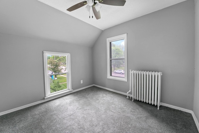 1319 Hennepin Ave N, Glencoe, MN 55336 - photo 14