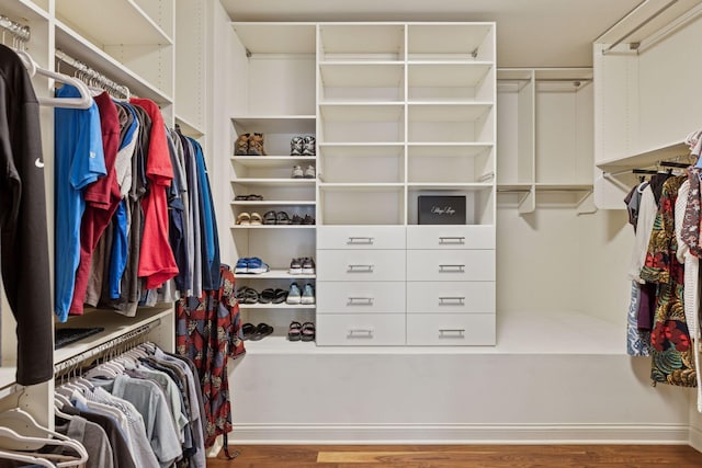 935 Lake St E Unit 211, Wayzata, MN 55391 - spacious closet featuring wood finished floors