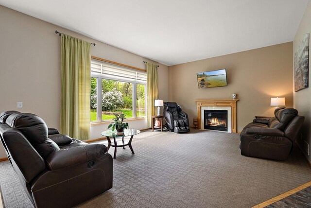 3321 Willie Dr, Burnsville, MN 55337 - carpeted living area featuring a glass covered fireplace