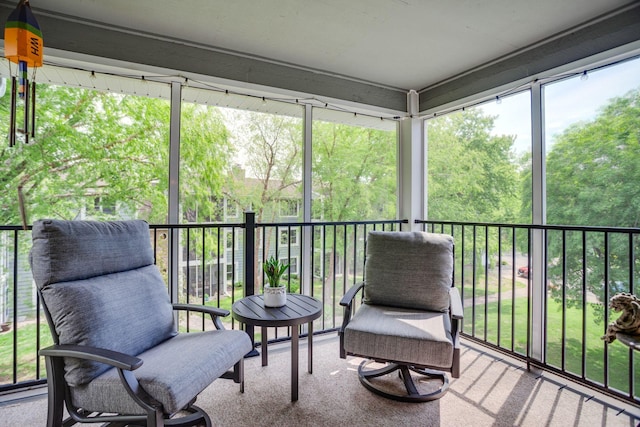 3020 Saint Albans Mill Rd Unit 309, Minnetonka, MN 55305 - view of sunroom