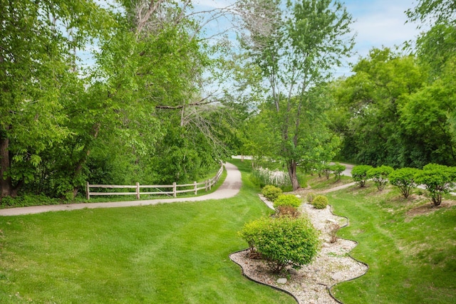3020 Saint Albans Mill Rd Unit 309, Minnetonka, MN 55305 - view of yard