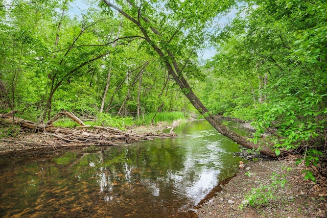 3020 Saint Albans Mill Rd Unit 309, Minnetonka, MN 55305 - water view