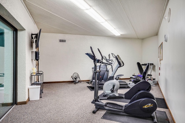 3020 Saint Albans Mill Rd Unit 309, Minnetonka, MN 55305 - exercise area featuring carpet, baseboards, and a textured ceiling