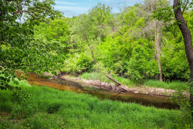 3020 Saint Albans Mill Rd Unit 309, Minnetonka, MN 55305 - view of wooded area