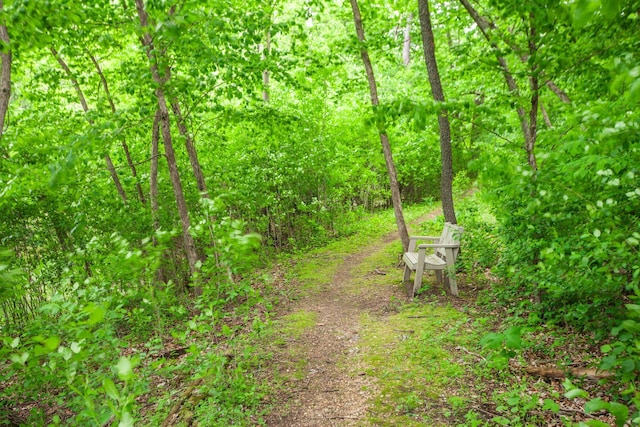 3020 Saint Albans Mill Rd Unit 309, Minnetonka, MN 55305 - view of yard with a view of trees