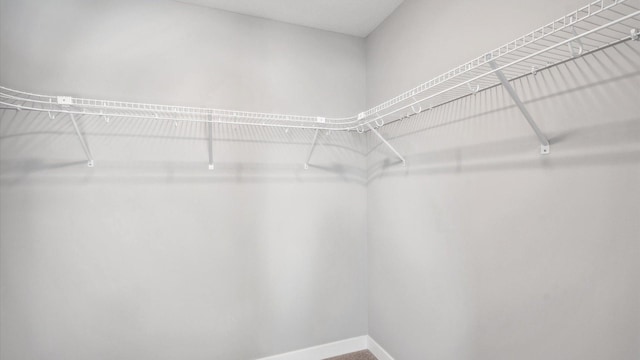 2117 Westpointe Dr, Hastings, MN 55033 - photo 14