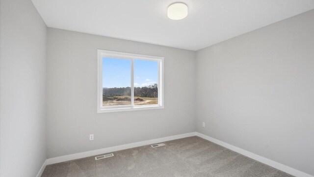 2117 Westpointe Dr, Hastings, MN 55033 - photo 19