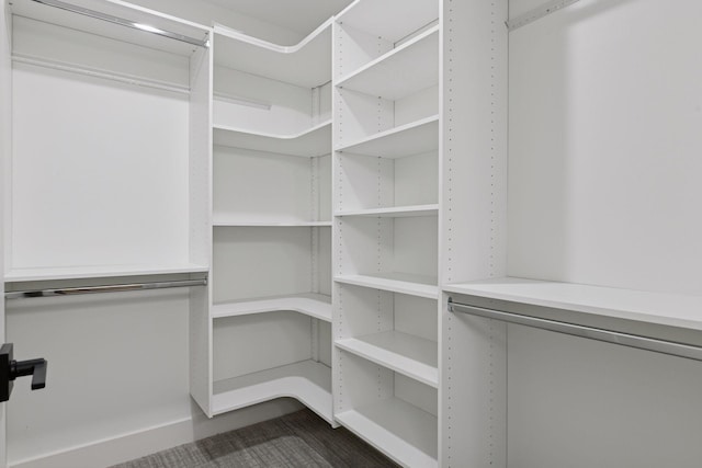 2324 Rivendell Ln, Minnetonka, MN 55305 - view of walk in closet