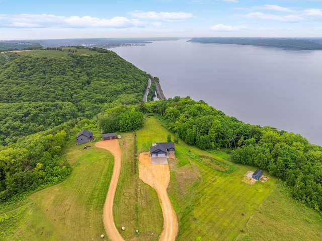 26884 709th St, Lake City, MN 55041 - aerial view of a nearby body of water and a forest