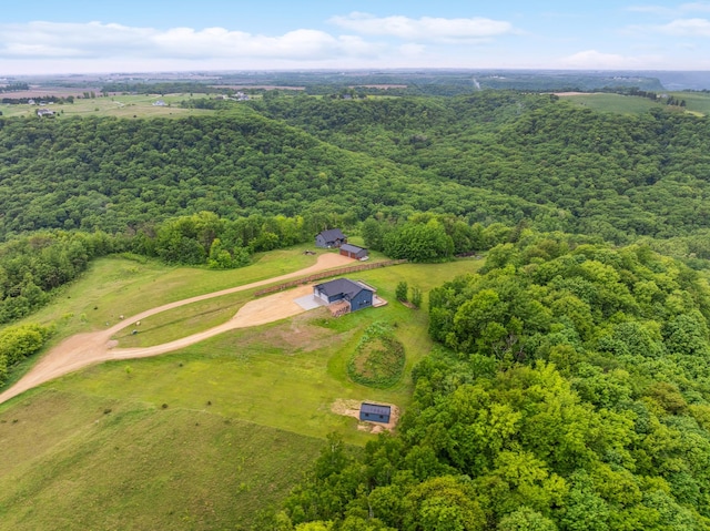 26884 709th St, Lake City, MN 55041 - bird's eye view of a forest