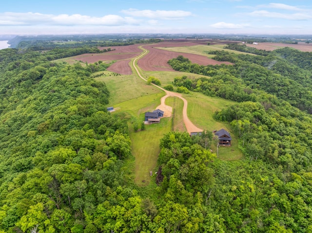 26884 709th St, Lake City, MN 55041 - aerial view of sparsely populated area
