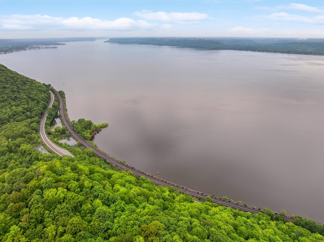 26884 709th St, Lake City, MN 55041 - bird's eye view of a large body of water and a heavily wooded area
