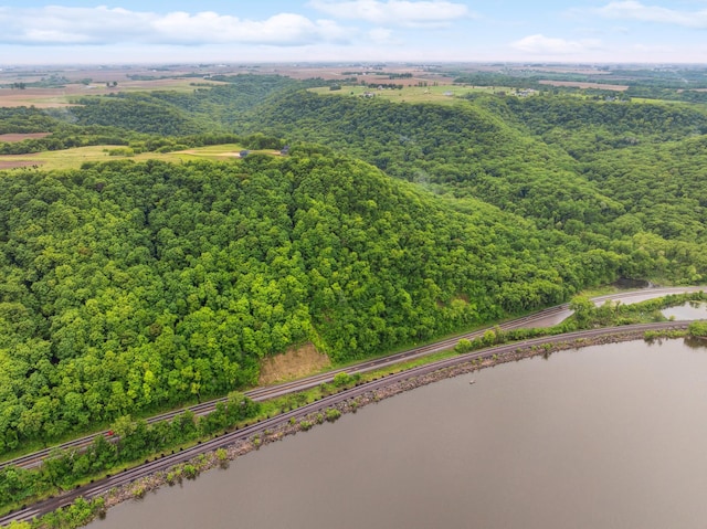 26884 709th St, Lake City, MN 55041 - aerial view of a nearby body of water and a forest